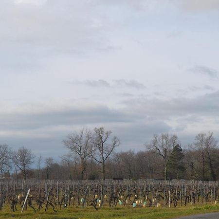 Maison Bertineau Proche Saint-Emilion Neac Екстер'єр фото