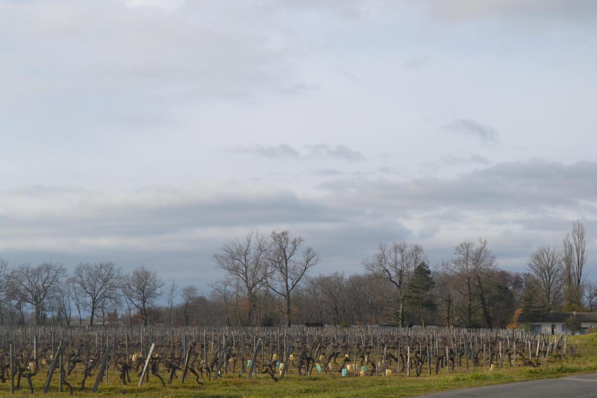 Maison Bertineau Proche Saint-Emilion Neac Екстер'єр фото